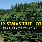 Free Trees for Troops on December 4, 2015 at Smith Lake Recreation Area