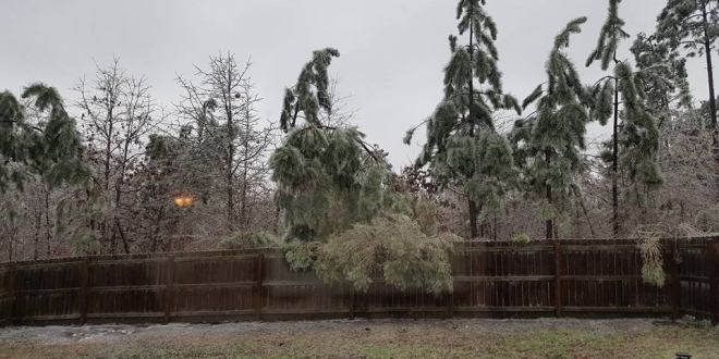  PHOTOS:  User Images of Jan 22nd Ice Storm in Cumberland County [2016]