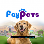 71591524_2705304722865951_7271676951239065600_n