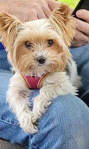 05FF20FC-1823-4DB2-AB95-F04DE84E70F7