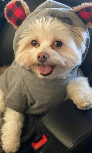 11613321-2547-4DE2-9EBF-9F6BAF2D6B85