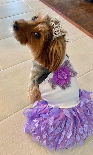 20220D8E-12EC-43F3-AC9B-A4AB8FEE5A45