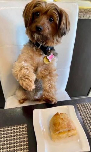 20648A3E-CDC5-4791-B626-6FB4D7B5A8E6