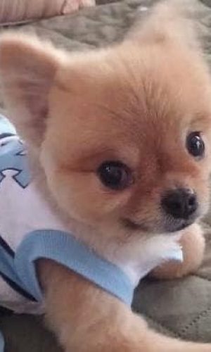 23E8E2C8-F2D5-473E-89FD-D2663AA316A3