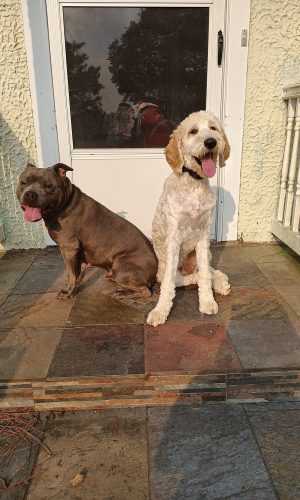 293F88CD-39DA-47AB-B2BC-2659D00E8E72