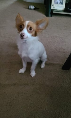 2DDC3DE8-75A9-4AD1-95FC-FE95237CC246