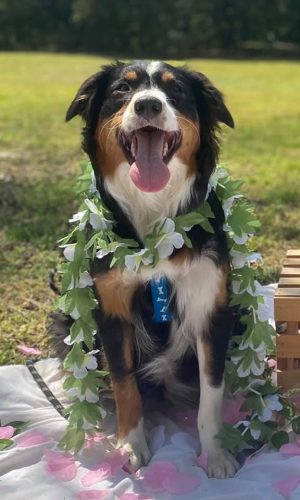 327E60F6-15F3-4C4C-B737-400AC678C272