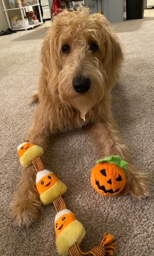 55E68650-37B6-4925-9514-409DD3EB7D1D