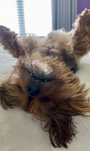 623154A0-D5E1-48B6-8A44-90DAFAF05BD2