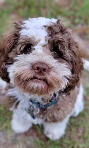 65B7819A-3D5E-44FE-BDC4-2BE7C61D5F97