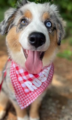 6946465D-8AC0-427B-B423-330CDE6E2BC8