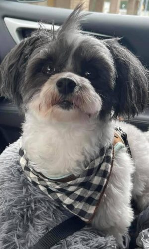 6F9CF3BB-DA6F-49D6-8790-D087F9BB86E3