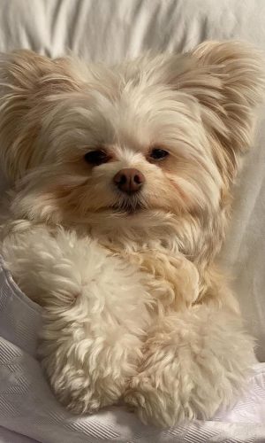 7A5E4D61-415C-4427-AF7E-66716FC09544