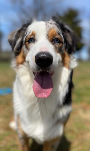 8FE11646-8B5D-41BD-8FB7-9D4B0AA726CC