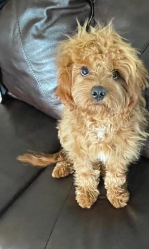 B05F506C-90A7-4603-A5F8-ED1604E6A26D