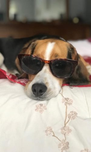 DC19E4FC-4D23-41F8-BE67-0ECF1F2CF651