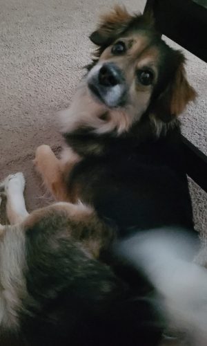 EEDC5D66-72D9-48A2-9AC5-F7A8661B427A