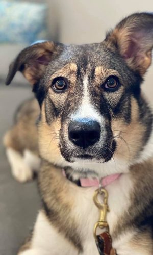 F2838BEF-772E-4EF7-B238-E2C66BCB13CE