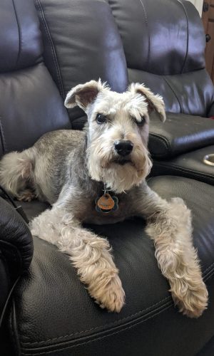 F599CDDE-6DBB-440D-8307-0868D053BBAC